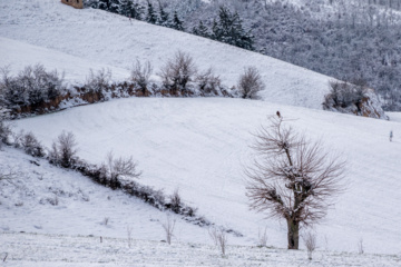 Hiver 2025: nature enneigée des hauteurs de la province de Golestan au nord de l'Iran