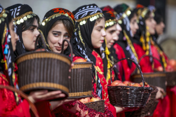 جشنواره شکرانه محصول انار شهرستان پاوه