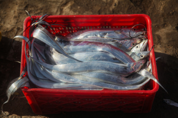 Muelle de pesca “Bandar-e Kong”