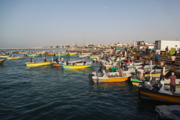 Muelle de pesca “Bandar-e Kong”