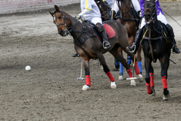 Coupe Lotus de la Ligue Nationale de polo