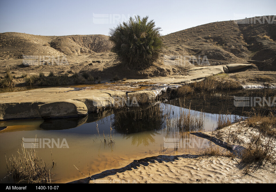 آلودگی ناشی از شکستگی در خط انتقال پساب چاه ۳۶۵ مارون در بخش غیزانیه