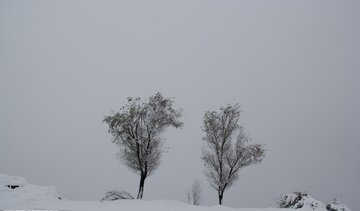 بارش برف و باران شهرستان کوهرنگ را فرا می‌گیرد