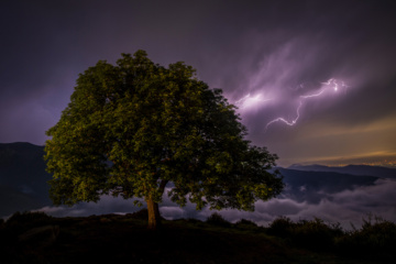 En el corazón de la noche..