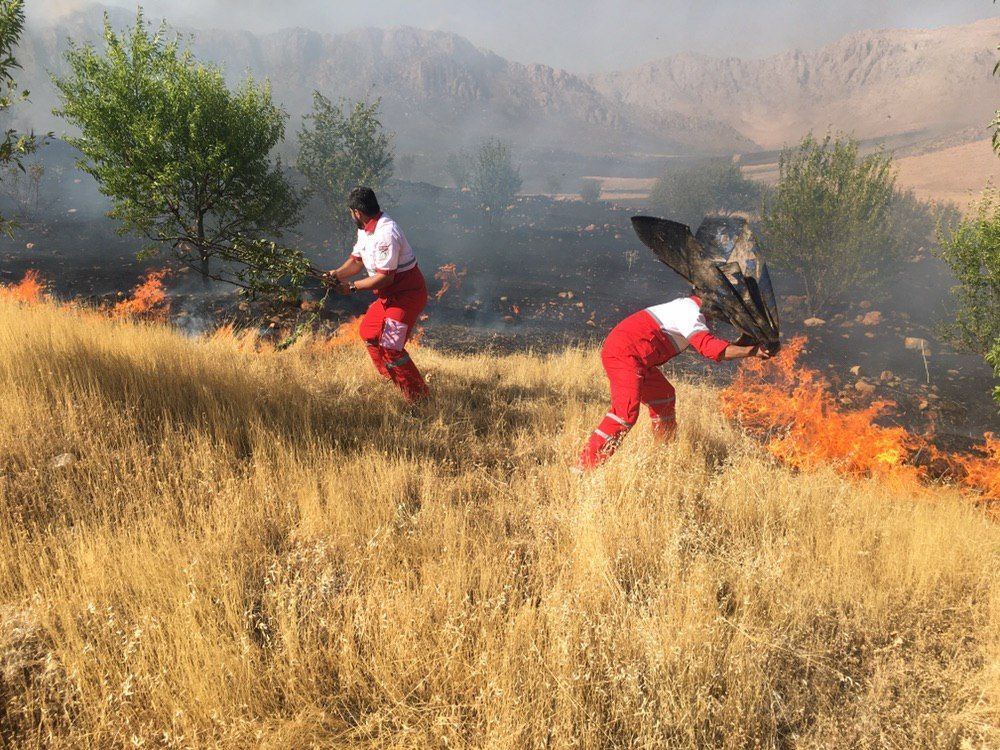 سهل انگاری گردشگر 