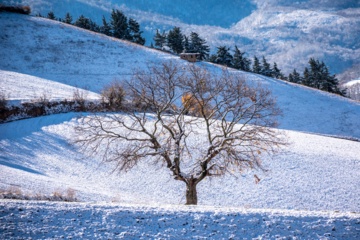 بارش برف پاییزی در گلستان