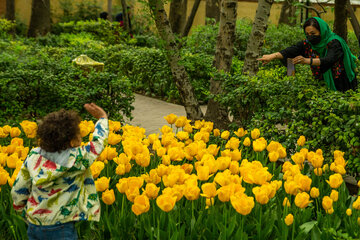 Le Jardin Iranien pour admirer les tulipes dans la capitale Téhéran