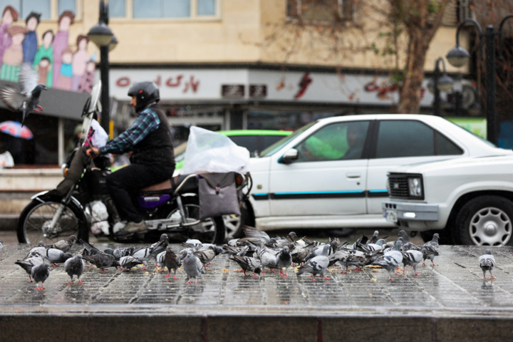 باران پائیزی در تهران