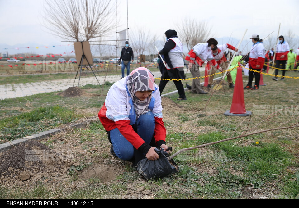 آغاز عملیات اجرایی باغ شهدای ایران