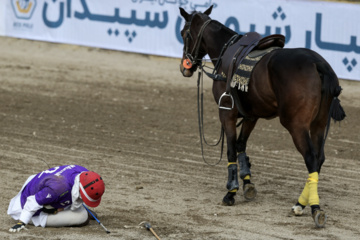 Liga Nacional de Polo en Irán