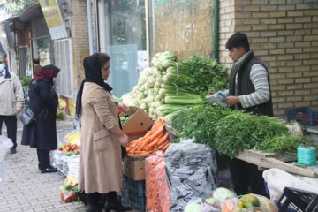 فصل سرما و تب و تاب تهیه ترشي در مهاباد