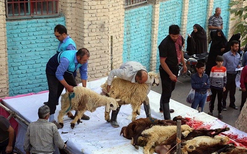 امسال ۱۰ مورد کشتار غیرمجاز دام در سقز شناسایی شد