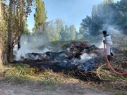 مدیرجهاد کشاورزی جهرم: آتش‌زدن بقایای گیاهی پس از درو، ممنوع است