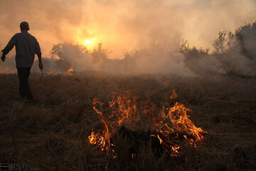 آسیب به خاک، رطوبت و محیط زیست، تبعات آتش‌زدن مزارع پس از برداشت 