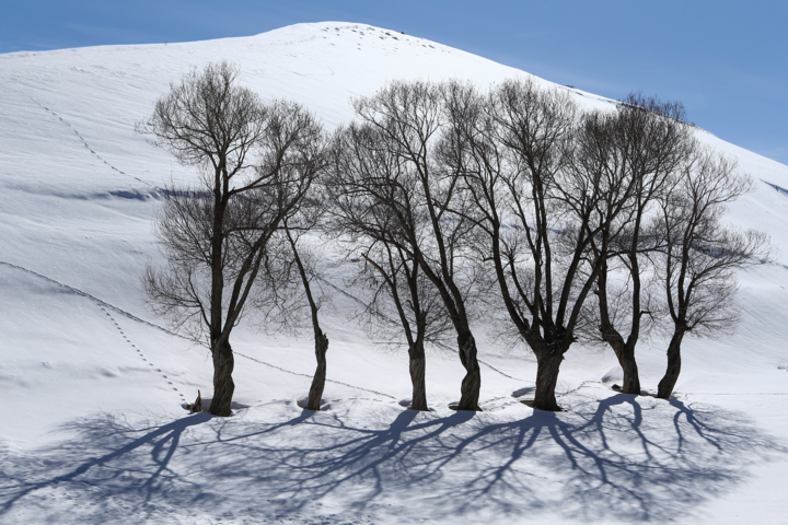 پیست اسکی «سهند»