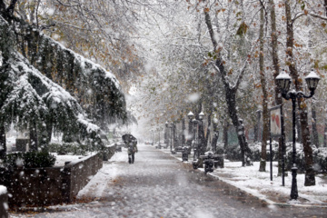 Iran-décembre 2024 : chutes de neige d’automne à Rasht au nord (Photo : Mojtaba Mohammadi)