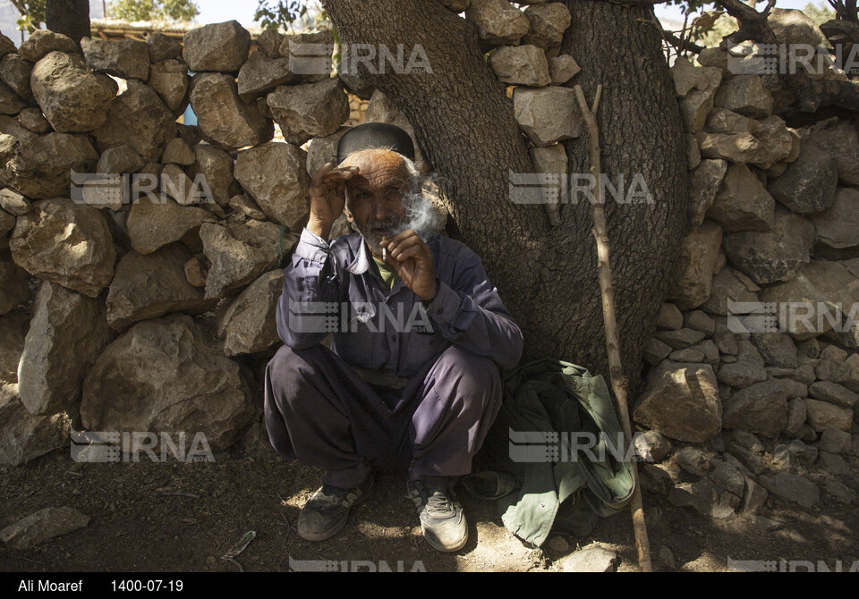 امداد رسانی به آسیب دیدگان زلزله اندیکا