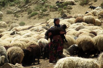 زندگی دلنشین عشایر اشنویه