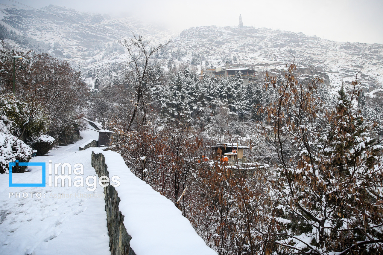 بارش برف در تهران