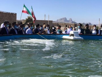 پاسداشت دهه فجر در ایرندگان خاش