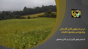 فیلم: دغدغه توتون‌کاران گلستانی و پاسخ مدیر مجتمع دخانیات استان 