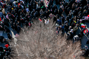 راهپیمایی بیست و دوم بهمن ۱۴۰۳ - تهران ۲