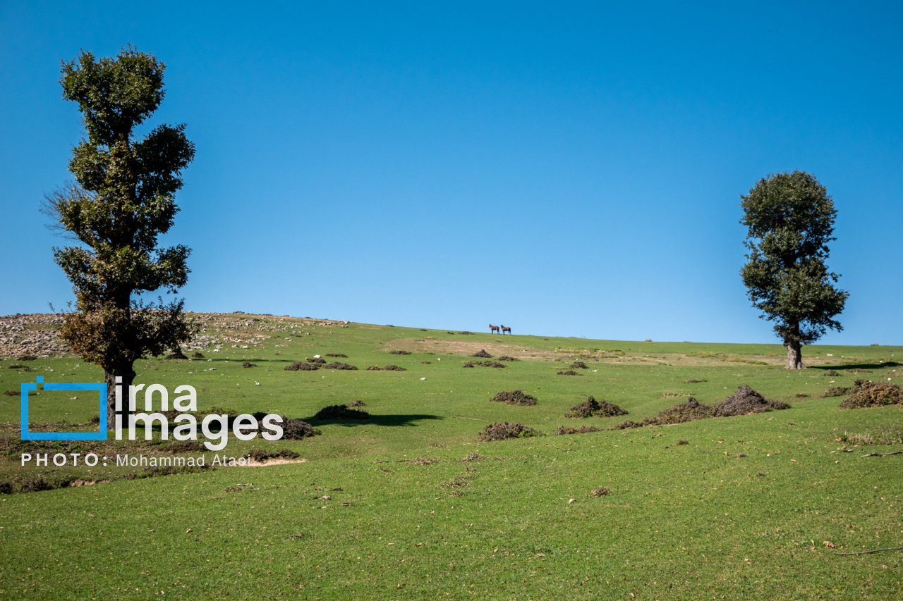 دشت مرکوه در استان گلستان