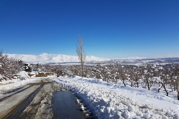 طبیعت زیبای برفی در اشنویه