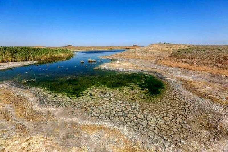 بارندگی در خراسان شمالی ۴۸.۳ درصد کاهش یافت 