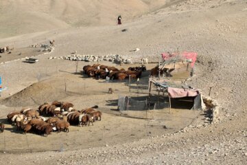 بازدید استاندار همدان از عشایر منطقه مولیجه