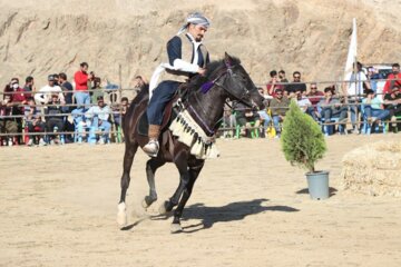 جشنواره اسب اصیل کردی در بوکان