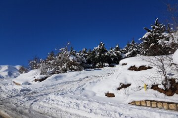 طبیعت زیبای برفی در اشنویه