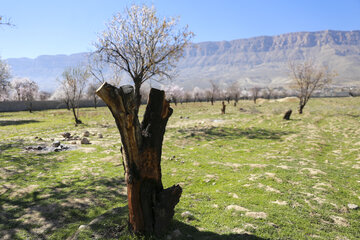 ردپای گردشگران در طبیعت روستای مهارلو