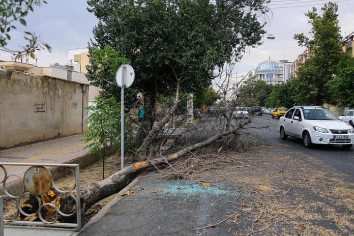 خسارت‌های طوفان در شیراز