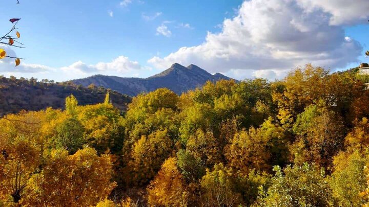 حیدرآباد؛ روستایی در دل زیبایی‌های طبیعت ایلام