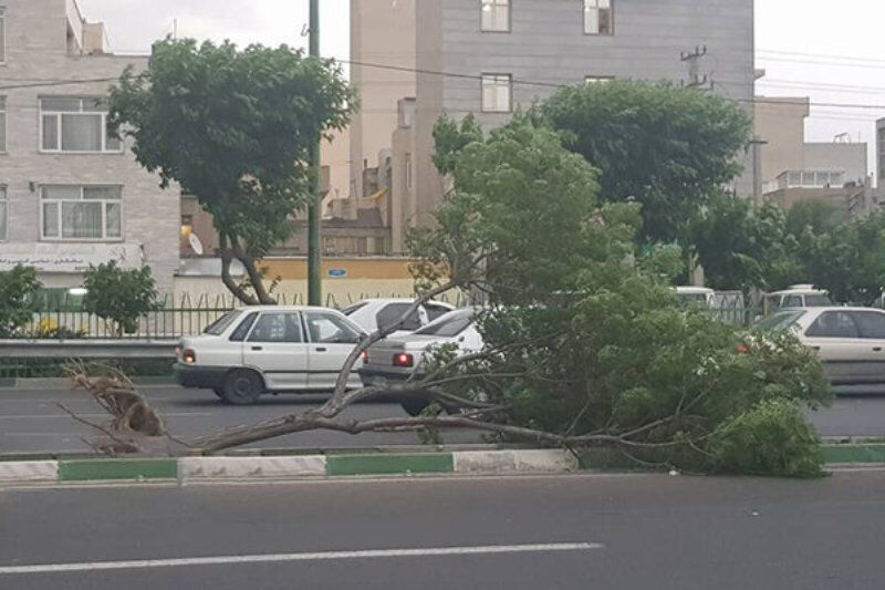 فروکش توفان در اردبیل از پنجشنبه شب