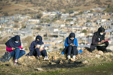 در جستجوی شبکه