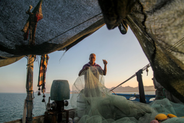 Pesca de camarones y peces en el Golfo Pérsico