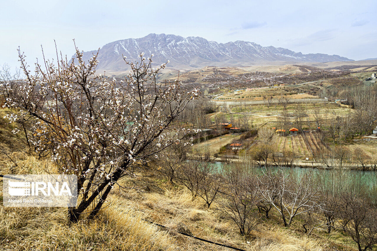 تحقق بیمه محصولات کشاورزی نیازمند اعتمادسازی 