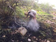 علت آتش‌سوزی کوه گُرم در شهرستان جهرم در دست بررسی است