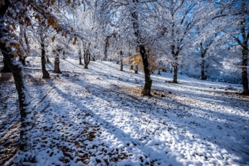 بارش برف پاییزی در گلستان