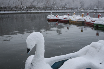 Caída de nieve otoñal en Tabriz