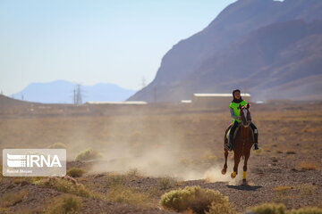 Endurance riding competition in Iran