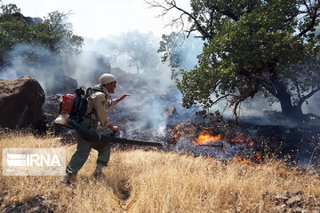 امسال بیش از ۱۳۰۰ فقره آتش‌سوزی در منابع طبیعی ایران رخ داد