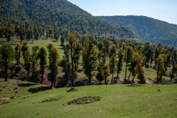 Iran: plaine de Markouh dans la province du Golestan au nord