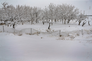 بارش برف زمستانی در روستای اسکندان اسکو