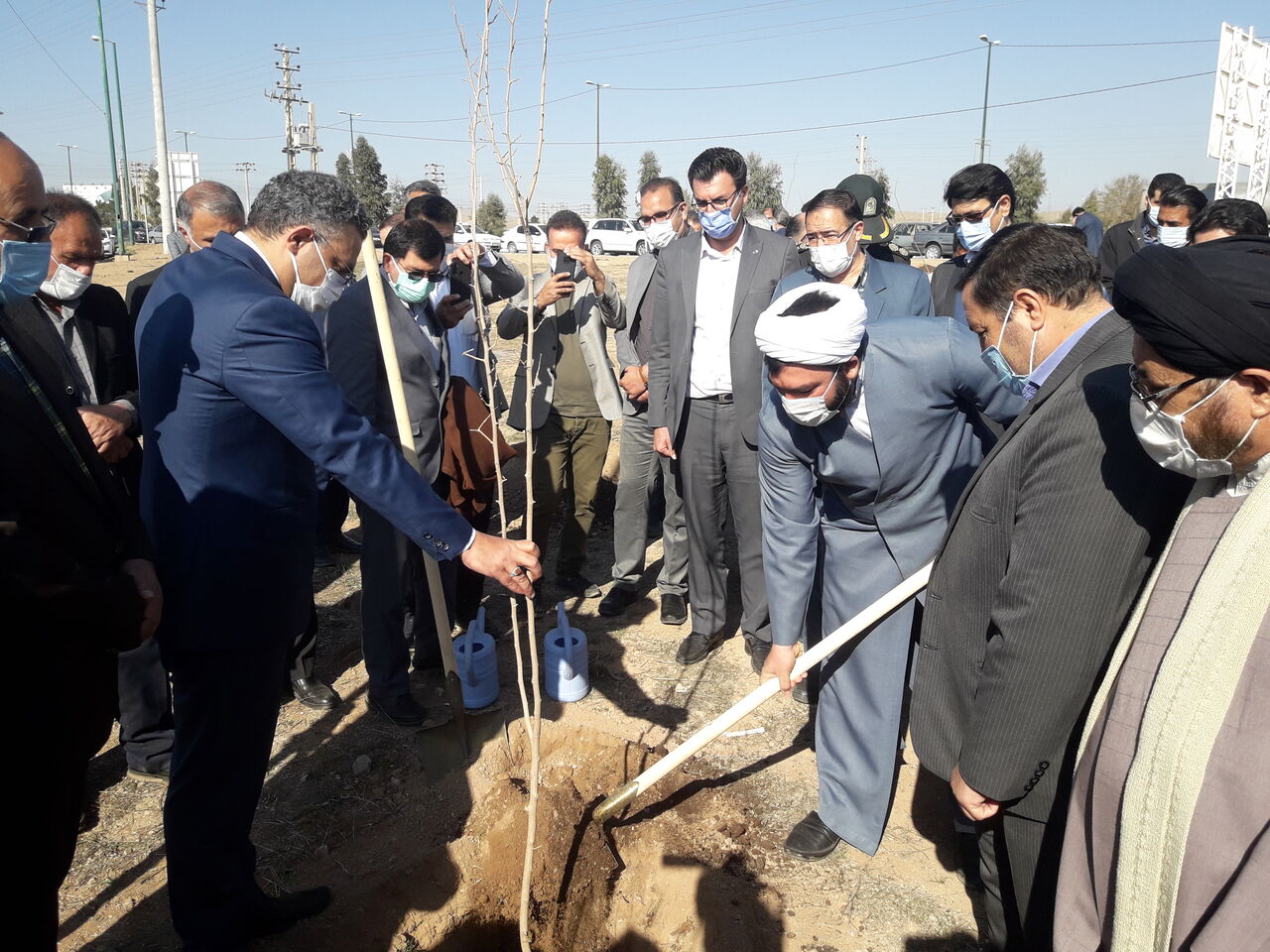 ساوجی ها در قالب پویش نهال مهربانی 10 هزار اصله درخت می کارند