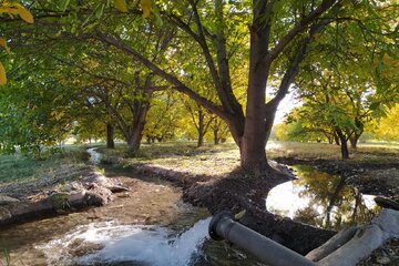 پاییز رنگارنگ میاندوآب‌