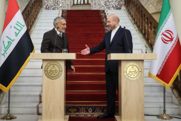 Entretien du président du Parlement iranien avec son homologue irakien à Téhéran 