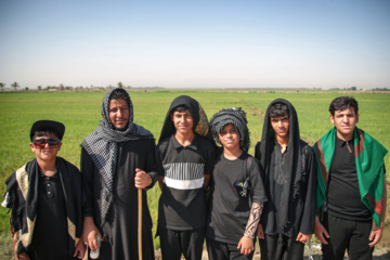 Arbaeen walk; Divaniyeh to Kufa route